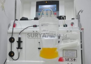 PENYINTAS COVID-19 DIHARAP PROAKTIF DONOR PLASMA KONVALESEN