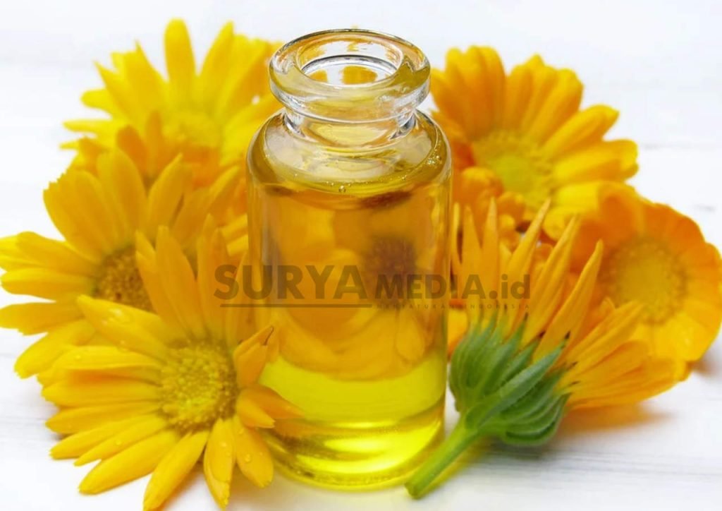 MANFAAT CALENDULA BAGI KESEHATAN KULIT