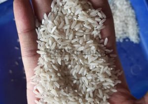 GABAH BULOG DEMAK BERASAL DARI PETANI LOKAL