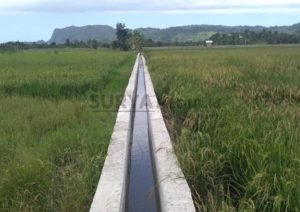 DISPERTAN PATI BERI BANTUAN REHABILITASI JARINGAN IRIGASI TERSIER