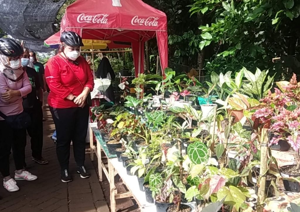 KAMPUNG UNIK DENGAN ANEKA TANAMAN HIAS DI SEMARANG
