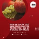 1,25 Ton Buah Segar Dibagikan Dispertan Kepada Para Nakes
