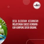 KWT di Wonosobo Sukses Kembangkan Kampung Sayur Organik