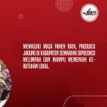 Masa Panen Raya, Produksi Jagung di Kabupaten Semarang Diprediksi Melimpah