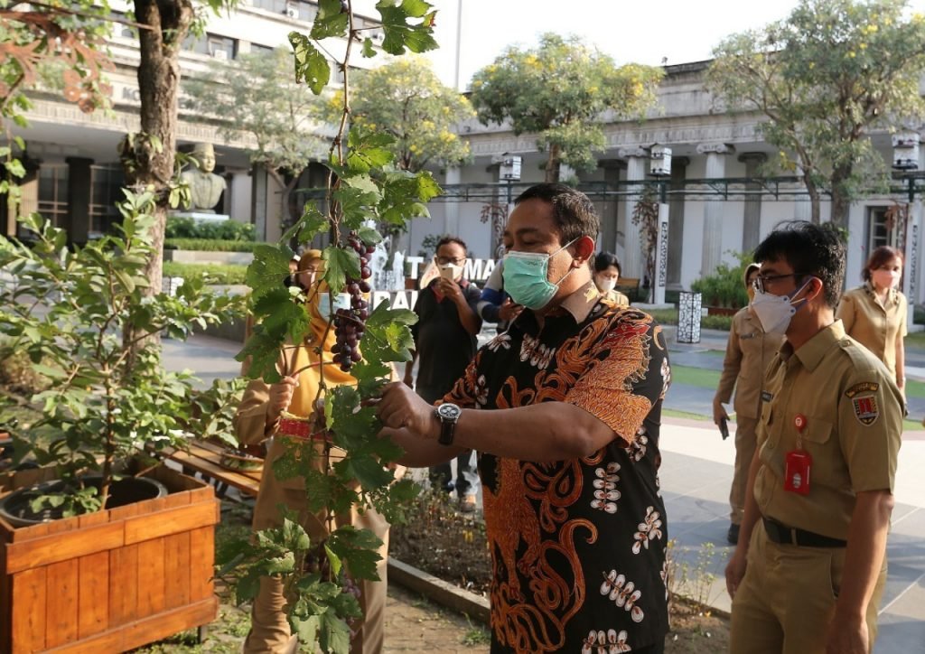 Pemkot Semarang Akan Jadikan Balai Kota Menjadi Green Building