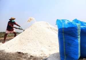 Gandeng DKPP Surabaya, Petani Garam Tingkatkan Kualitas Produksi