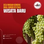 Desa Panohan Rembang Bakal Bangun Destinasi Wisata Baru