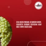 Desa Panohan Rembang Bakal Bangun Destinasi Wisata Baru