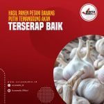 Hasil Panen Petani Bawang Putih Temanggung Akan Terserap Baik