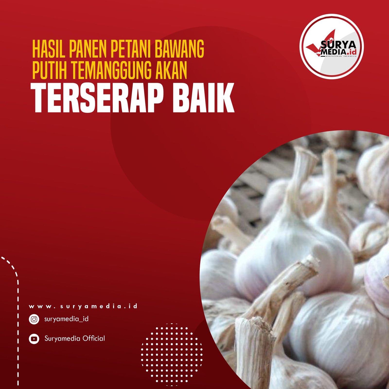 Hasil Panen Petani Bawang Putih Temanggung Akan Terserap Baik