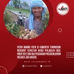 Hasil Panen Petani Bawang Putih Temanggung Akan Terserap Baik