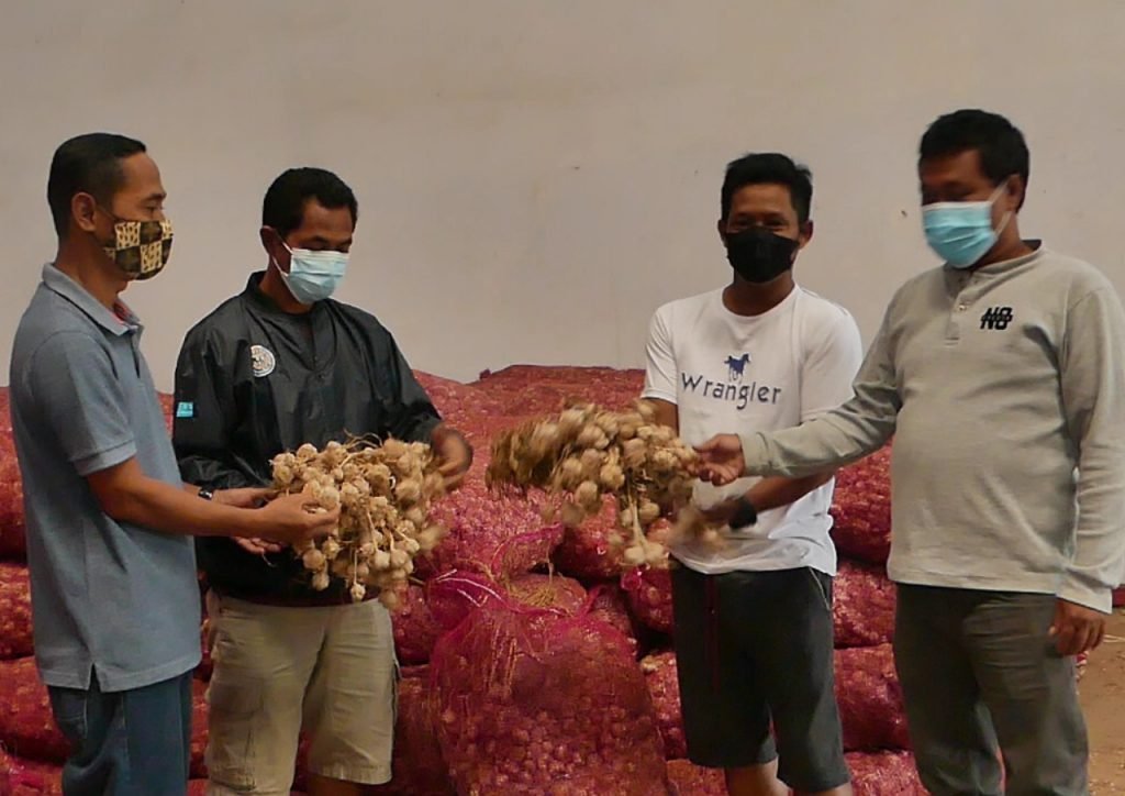 Hasil Panen Bawang Putih di Temanggung Dipastikan Terserap Baik