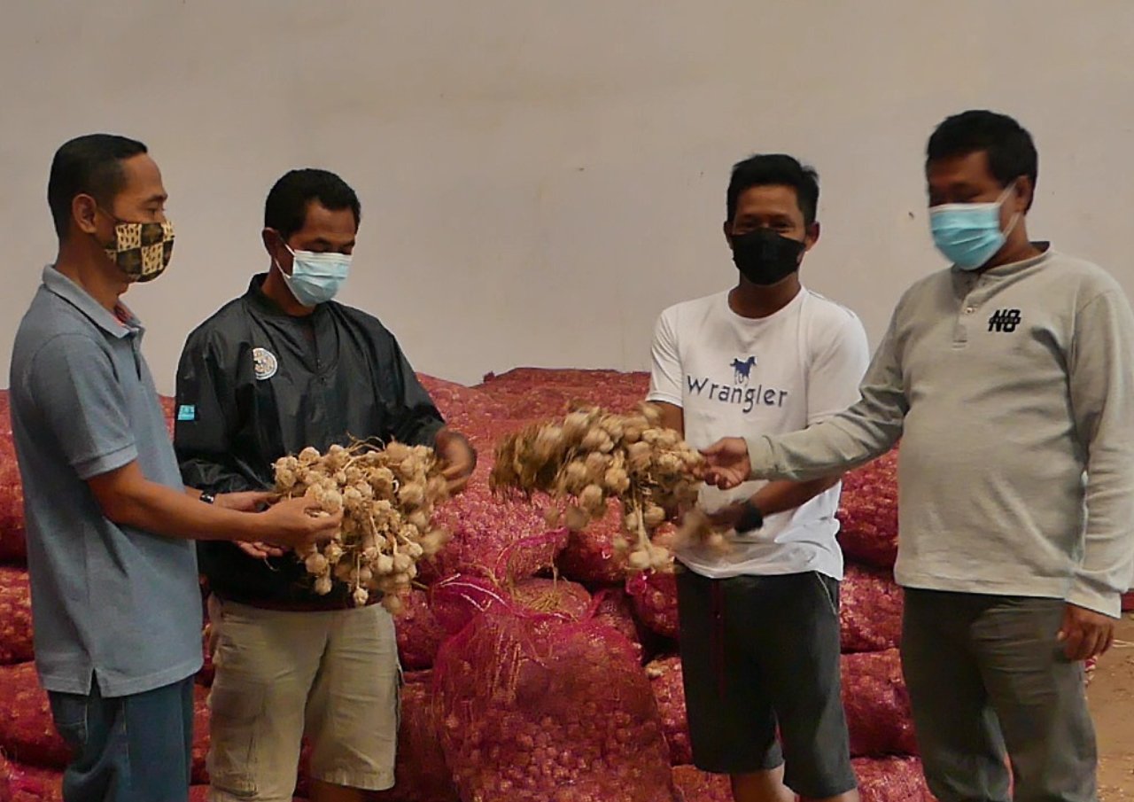 Hasil Panen Bawang Putih di Temanggung Dipastikan Terserap Baik