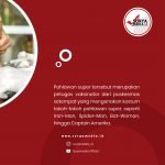 Sejumlah Pahlawan Super Dampingi Vaksinasi Covid-19 Bagi Anak di Jepara