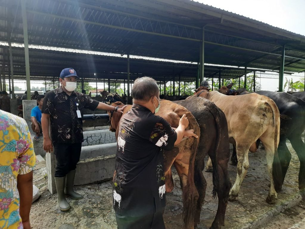 Pasar Hewan Jonggol Kembali Dibuka