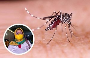 Foto : Ilustrasi nyamuk Aedes aegypti Penyebab DBD (Sumber : Istimewa)