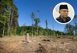 Foto: Ilustrasi kerusakan lingkungan (Sumber: iStock)