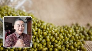 Foto: Ilustrasi kacang hijau (Sumber: Pixabay)
