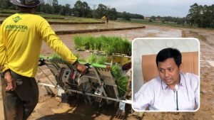 Foto: Ilustrasi petani di Kabupaten Pati (Sumber: Istimewa)