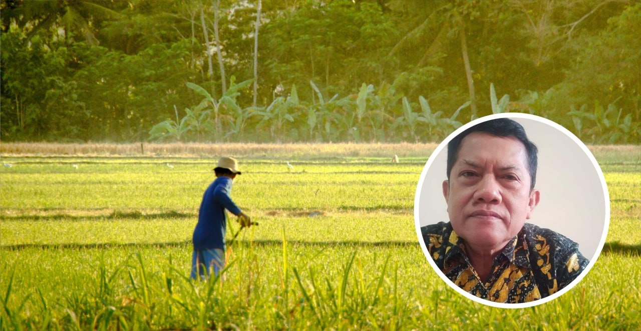 Foto: Ilustrasi petani di Kabupaten Pati (Sumber: unsplash)