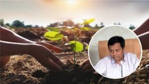 Foto : Ilustrasi Reboisasi oleh Masyarakat (sumber: Istimewa)