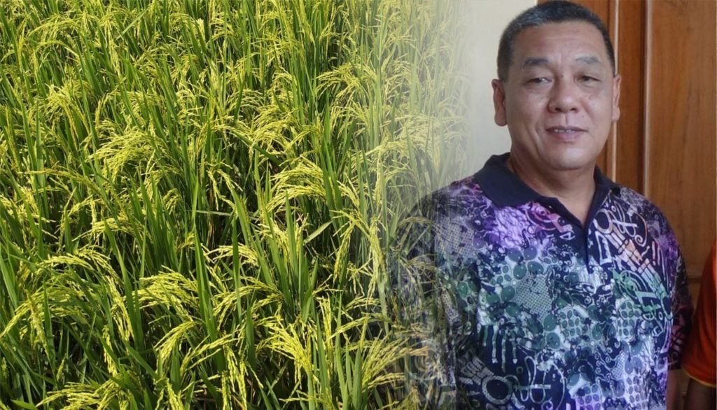 Foto: Ilustrasi pertanian di Kabupaten Pati (Sumber: Unsplash)