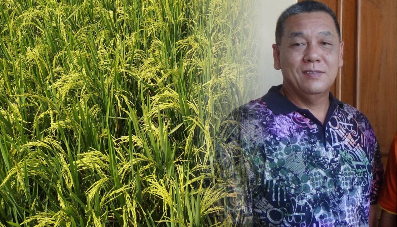 Foto: Ilustrasi pertanian di Kabupaten Pati (Sumber: Unsplash)