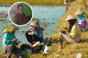 Foto: Ilustrasi Petani di Kabupaten Pati (Sumber: Usplash.com)