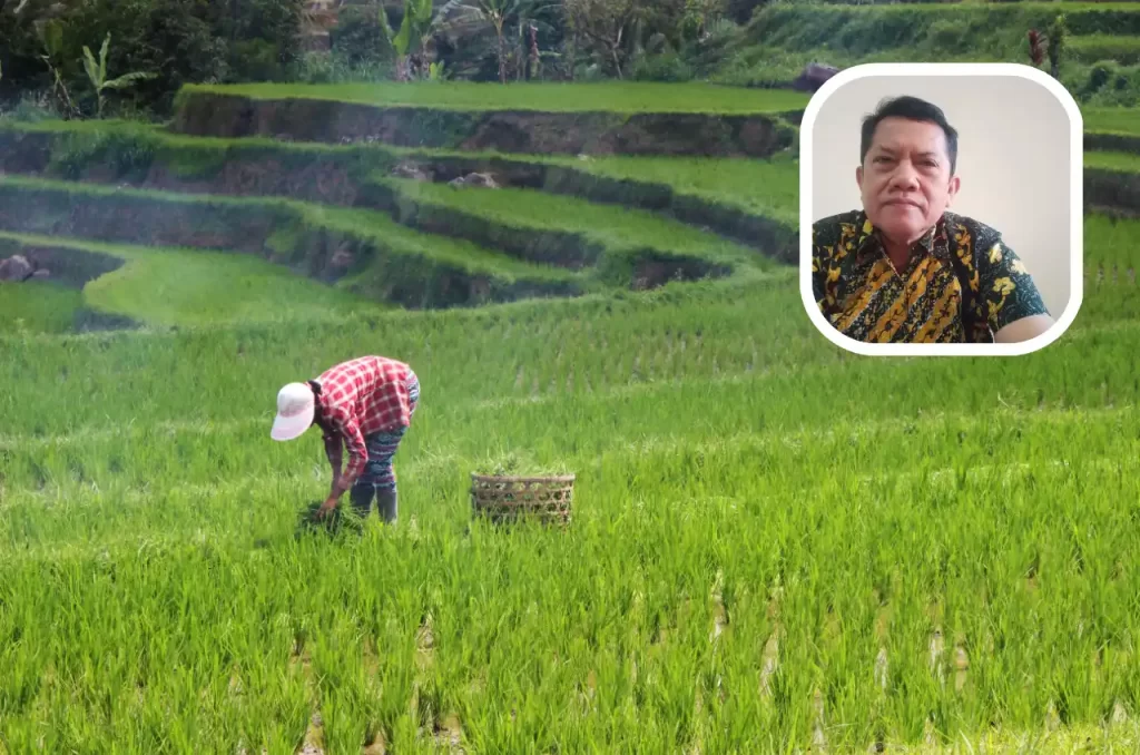 Foto: Ilustrasi Petani Muda (Sumber: Unsplash.com)