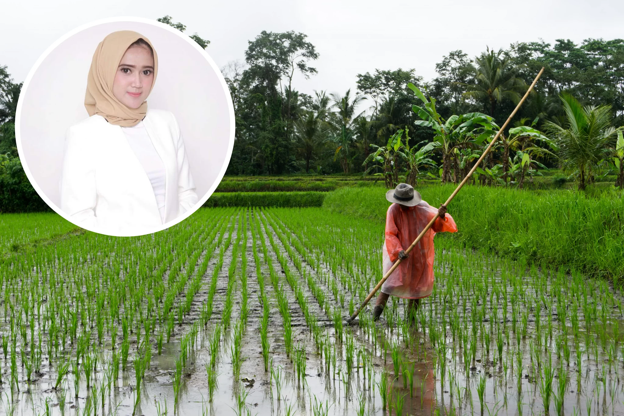 Foto: Ilustrasi petani (Sumber: Unplash.com)