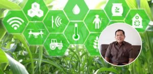 Foto: Ilustrasi transformasi sistem pertanian (Sumber: iStock)