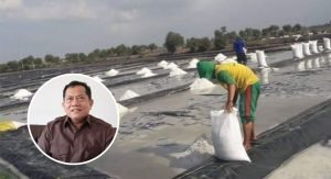 Kesiapan Pati untuk Swasembada Garam 2024