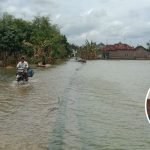 Banyak Petani Tak Tercover Asuransi, Perda Perlindungan Tani Patut Ditunggu