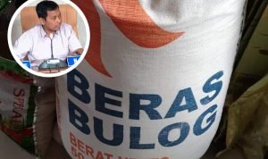Jurus Impor Beras Bulog Diharapkan Segera Berefek