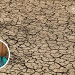 BMKG Prediksi Musim Kemarau 2023, Ini Pesan Dewan