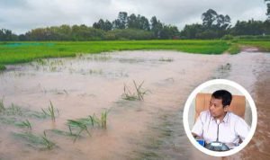 Foto: Ilustrasi banjir (Sumber: iSTock)