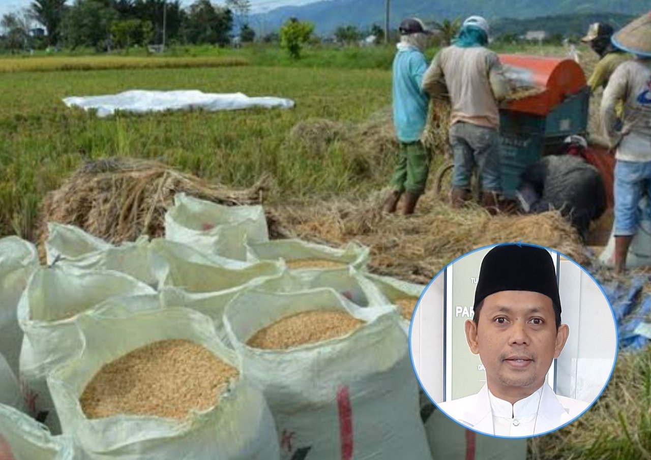 Foto : Ilustrasi gabah hasil panen (Sumber : Istimewa)