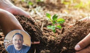 Foto: Ilustrasi pelestarian hutan (Sumber: iStock)