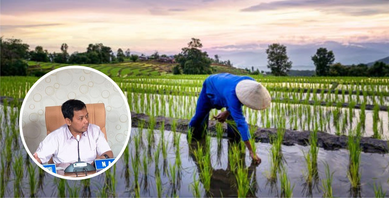 Foto: Ilustrasi sawah di Kab Pati (Sumber: iStock)