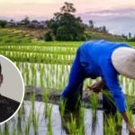 Foto: Ilustrasi petani Kab Pati (Sumber: iStock)