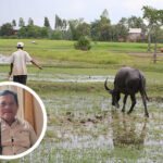 Foto: Ilustrasi pertanian (Sumber: iStock)
