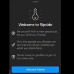 flipside