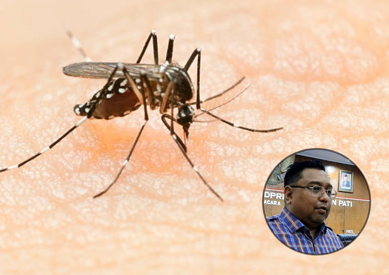 Foto: Ilustrasi nyamuk DBD (Sumber: istock)