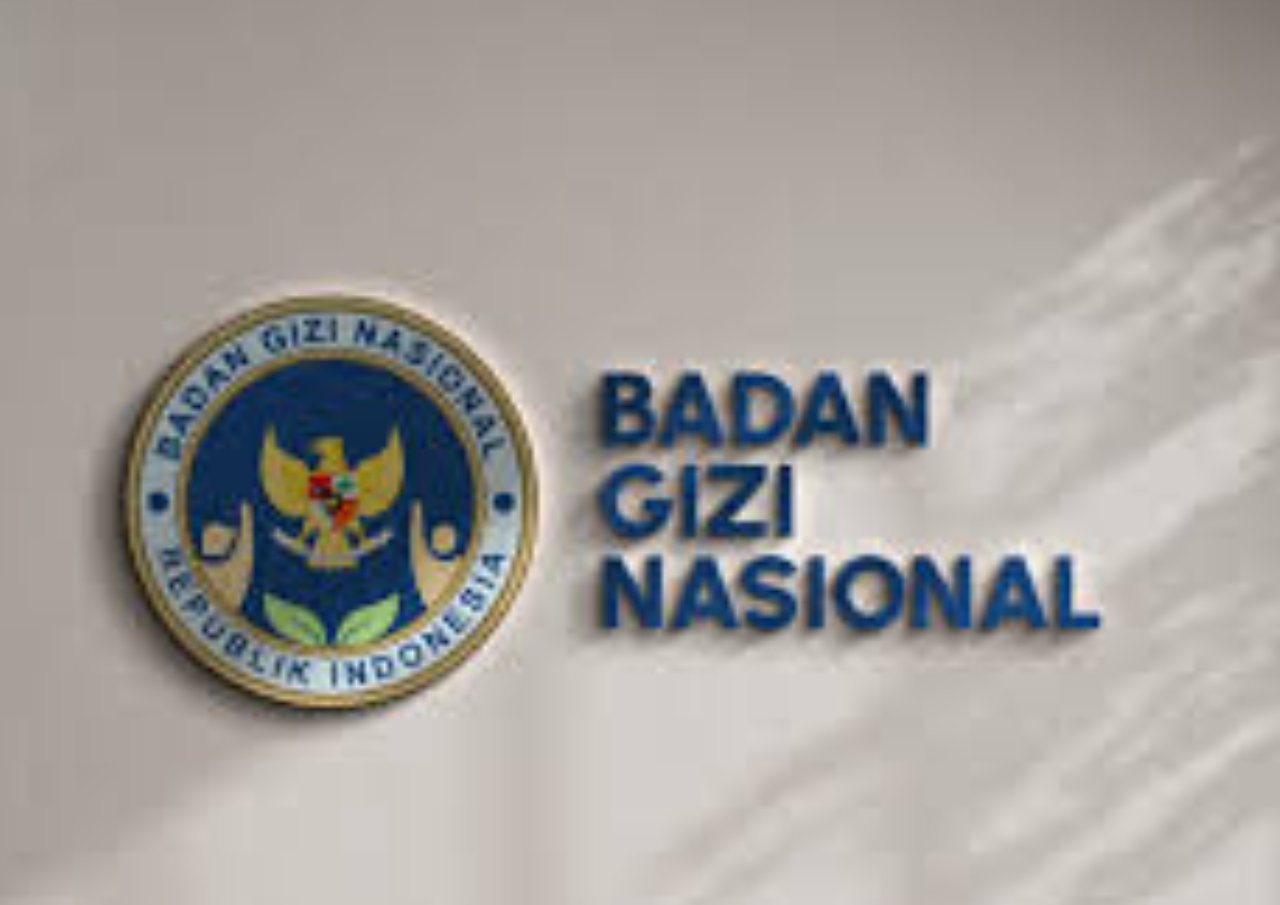 badan gizi nasional