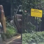 taman safari