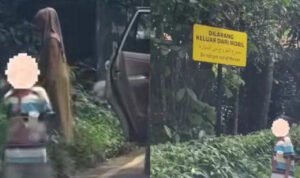 taman safari