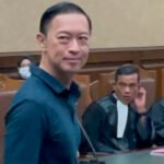 tom lembong