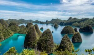DPR RI Bakal Kunjungi Lokasi Perusahaan Swasta di Kawasan Raja Ampat Buntut Laporan Dugaan Eksploitasi