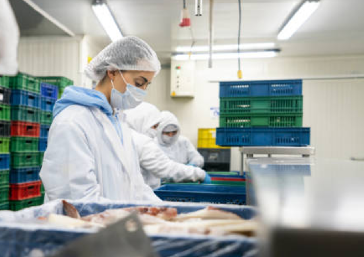 BGN Pastikan Dapur SPPG MBG yang Terverifikasi Bukan Fiktif