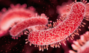 Bakteri Hingga Bahan Kimia Ditemukan dalam Kasus MBG, Ada Salmonella Hingga Histamine
